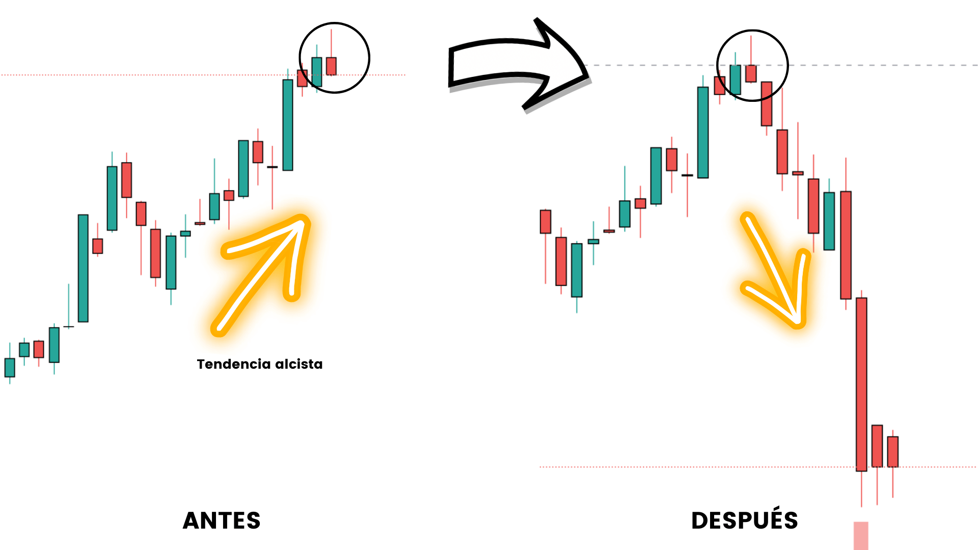 8 Patrones de Velas Japonesas que Predicen Cambios de Tendencia